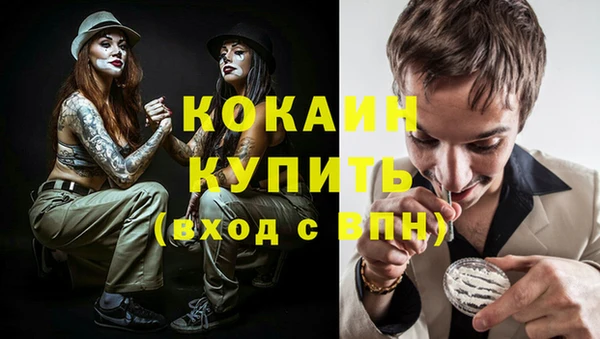 хмурый Алексин