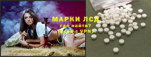 прущие грибы Абдулино