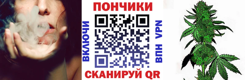 Каннабис сатива  где купить наркоту  Поворино 